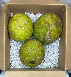 Breadfruit Box -OUT OF STOCK-