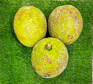 Breadfruit Box -OUT OF STOCK-
